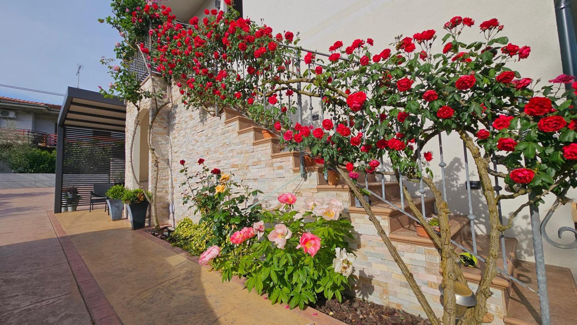 New Istrian Experience By Istrian Apartments Koper Exterior photo